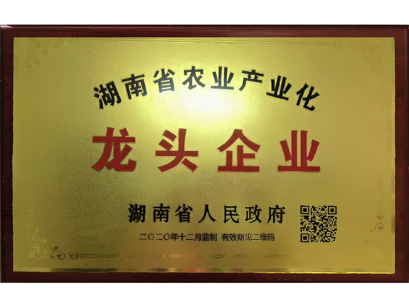 岳陽市漁之源食品有限公司,岳港漁都,洞庭魚港,散稱系列,田螺系列,臭豆腐加工，香豆腐加工，烤脖加工，魚仔,鴨排加工、雞丁加工代加工